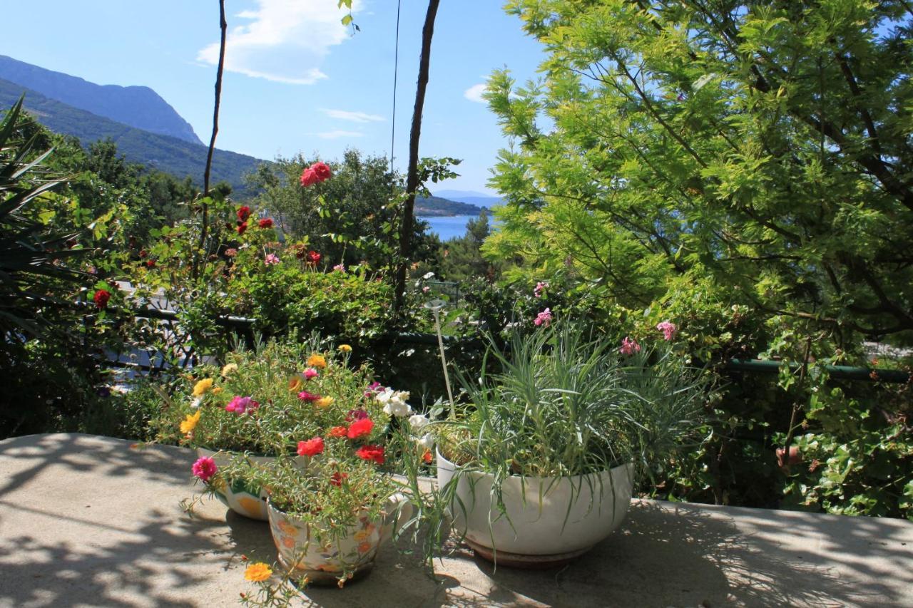 Apartments And Rooms With Parking Space Tucepi, Makarska - 6901 外观 照片